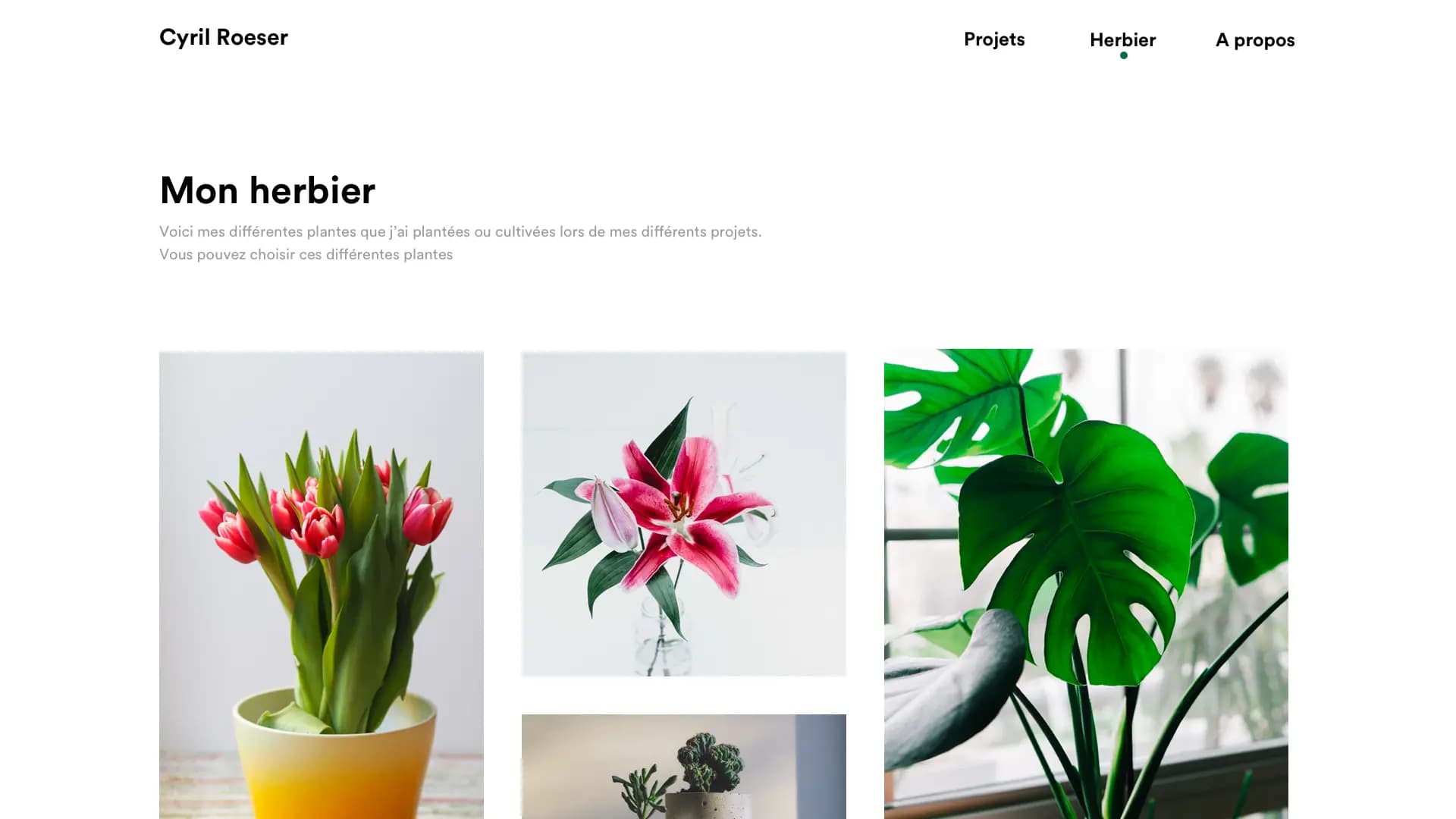 cyril_roeser